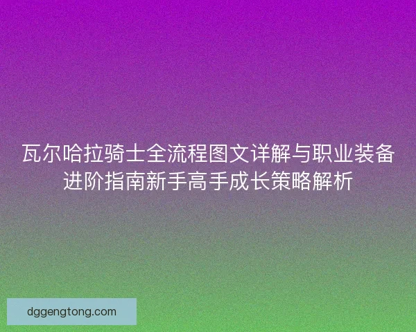 瓦尔哈拉骑士全流程图文详解与职业装备进阶指南新手高手成长策略解析