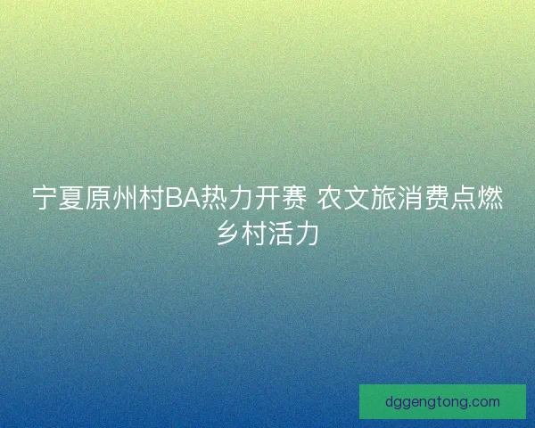 宁夏原州村BA热力开赛 农文旅消费点燃乡村活力
